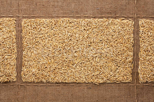 Oats grains on sackcloth, with place for your text Stock photo © alekleks