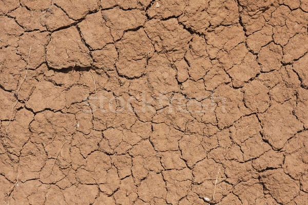 Withered chapped clay Stock photo © alekleks