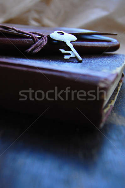 Vintage sleutel notebook leder papier boek Stockfoto © Aleksa_D