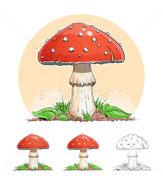 Amanita. Mushroom Stock photo © Aleksangel