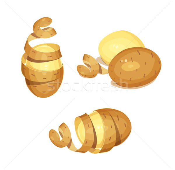 Batata Espiral Ilustrações, Vetores E Clipart De Stock – (320 Stock  Illustrations)