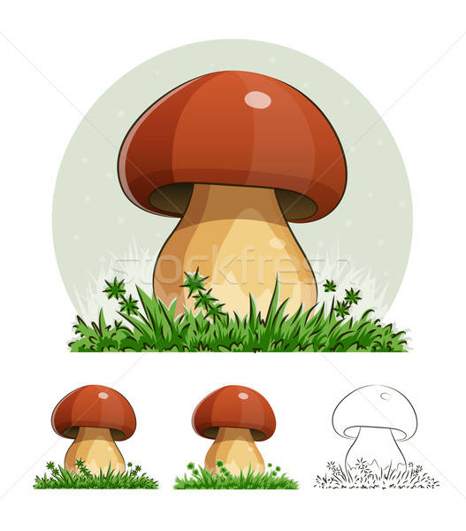 Cep. Mushroom. Stock photo © Aleksangel