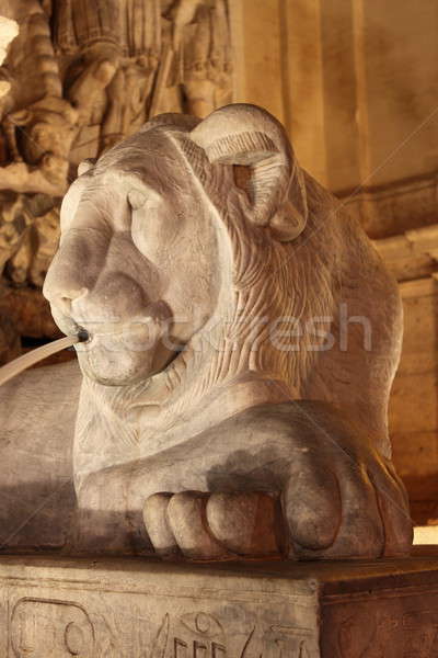 Löwen Statue Wasser Brunnen Rom Stadt Stock foto © alessandro0770