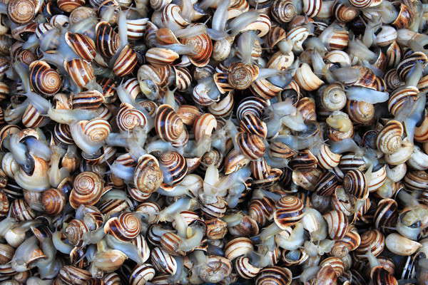 Vendita mercato alimentare store shell rosolare Foto d'archivio © alessandro0770