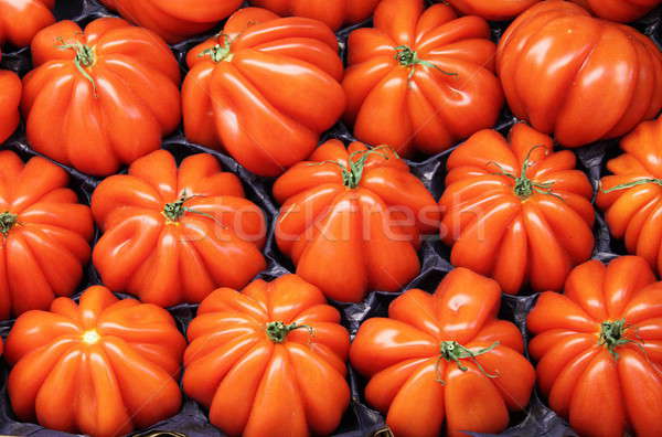 Tomatoes Stock photo © alessandro0770