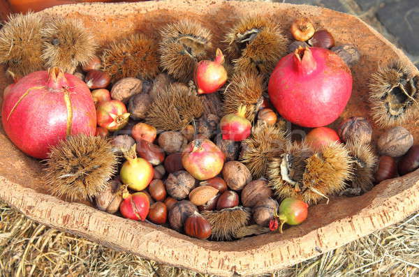 Agrícola productos otono bandeja típico alimentos Foto stock © alessandro0770