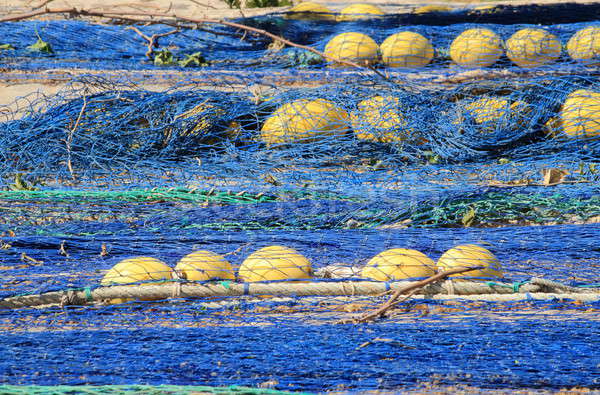 Fishing nets Stock photo © alessandro0770
