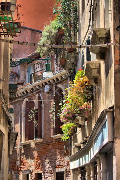 Stedelijke schilderachtig Venetië hdr Italië bloemen Stockfoto © alessandro0770