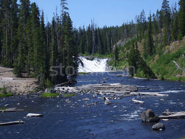 Lewis Falls in Yellowstone Park Stock photo © alessandro0770