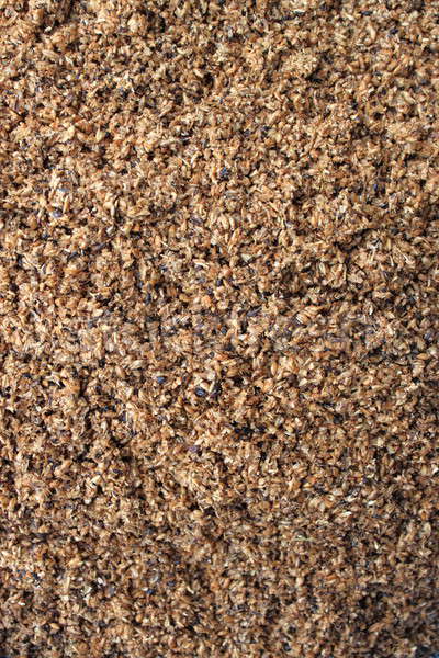 Malted barley grains Stock photo © alessandro0770