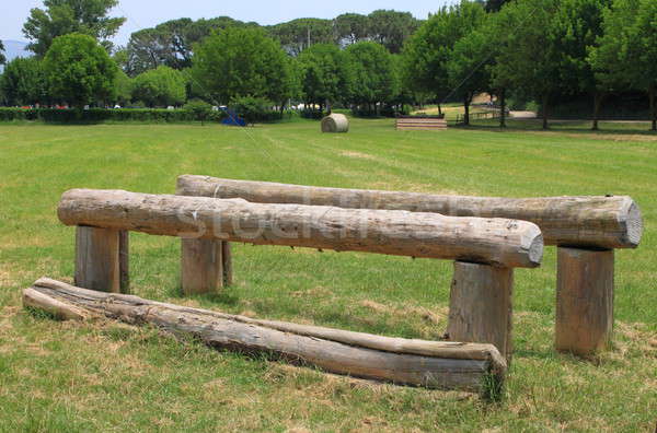 Obstáculo mostrar saltar concurso madera caballo Foto stock © alessandro0770