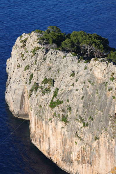 Vertical cliff on the sea Stock photo © alessandro0770