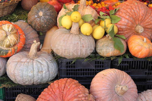 Calabazas venta alimentos naturaleza granja rojo Foto stock © alessandro0770