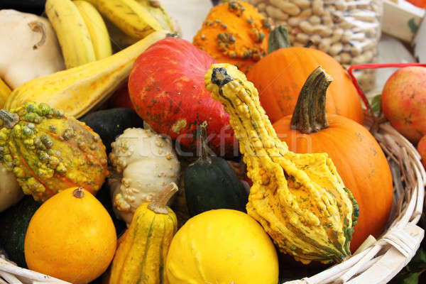 Pumpkins Stock photo © alessandro0770