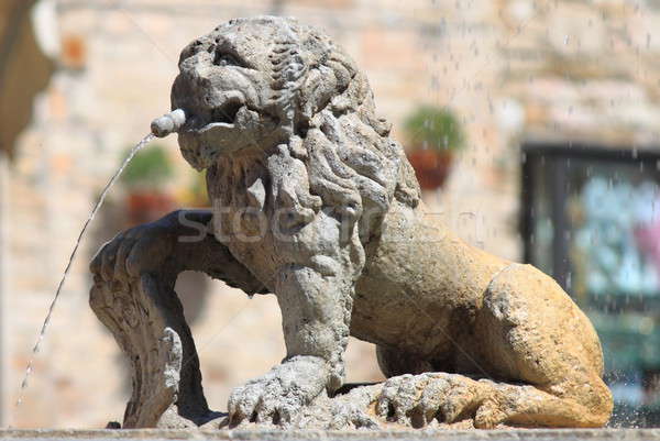 Leone fontana principale città piazza acqua Foto d'archivio © alessandro0770