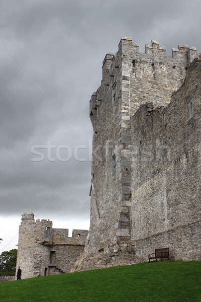 Ross Castle in Ireland Stock photo © alessandro0770
