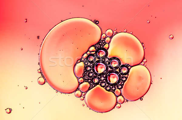 Stock photo: Artistic Colorful oil and soap bubbles in water