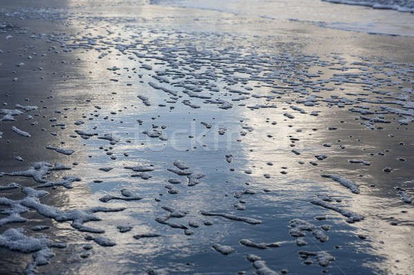 Stock photo: Polluted sea water on beach