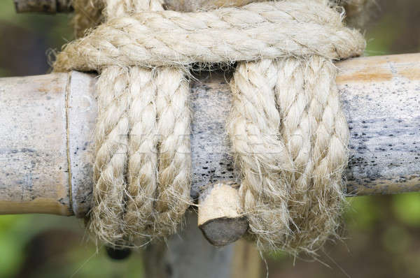 Rope knot Stock photo © AlessandroZocc