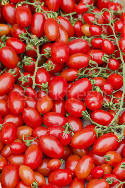 Rouge tomates écran usine [[stock_photo]] © AlessandroZocc