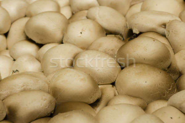 Jadalny biały grzyby sztuczny jesienią wzór Zdjęcia stock © AlessandroZocc