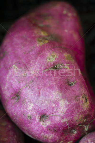 Red potatoe Stock photo © AlessandroZocc