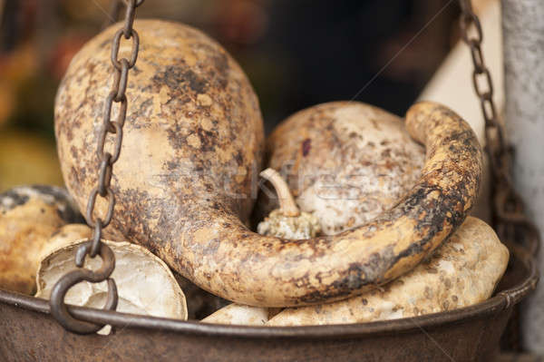 Stock photo: variety of colorful pumpkins 