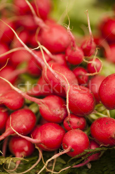 Radijs eetbaar wortel plantaardige voedsel vruchten Stockfoto © AlessandroZocc