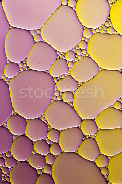 Artístico colorido petróleo pompas de jabón agua resumen Foto stock © AlessandroZocc