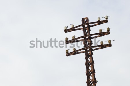 Old rusty electrical pole  Stock photo © AlessandroZocc