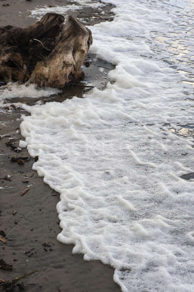 Polluted sea water on beach Stock photo © AlessandroZocc