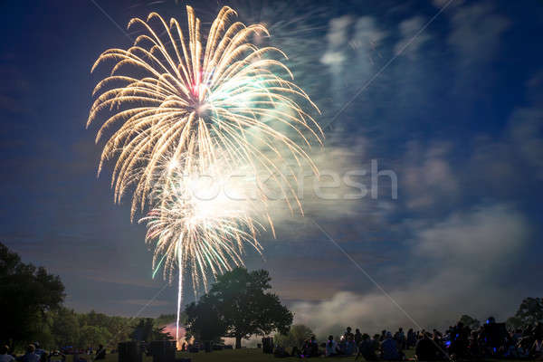 People looking at fireworks in honor of Independence Day Stock photo © Alex9500