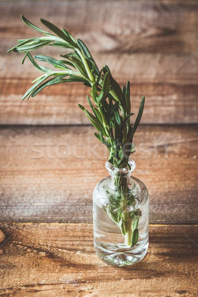 Fresh rosemary in vial Stock photo © Alex9500