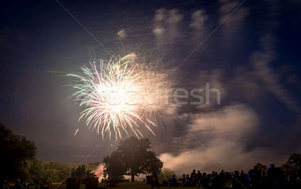 People looking at fireworks in honor of Independence Day Stock photo © Alex9500