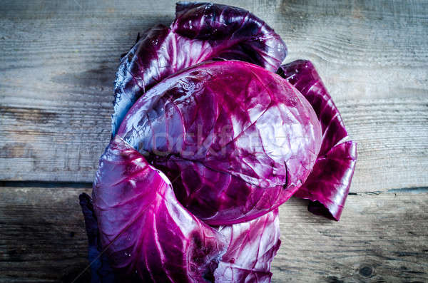 Red cabbage Stock photo © Alex9500