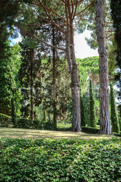 Gardens of Santa Clotilde, Catalonia Stock photo © Alex9500