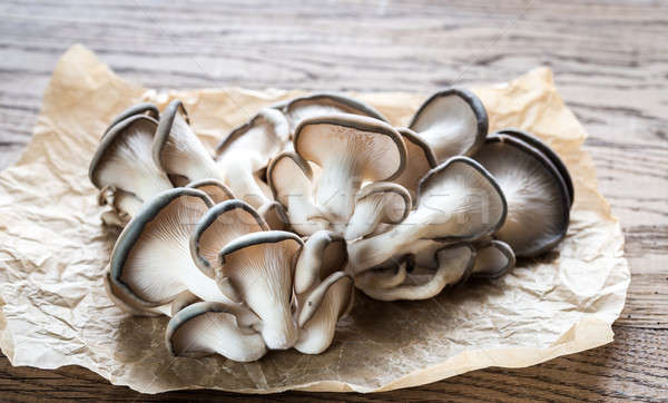 Oyster mushrooms Stock photo © Alex9500