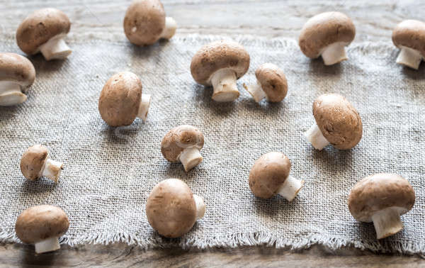 Barna champignon gombák vászon háttér szín Stock fotó © Alex9500