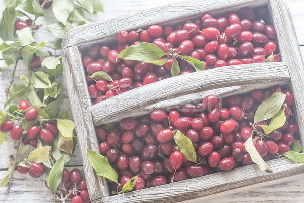 Dogwood berries in the basket Stock photo © Alex9500