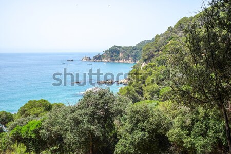 Sea view from Santa Clotilde gardens, Catalonia Stock photo © Alex9500