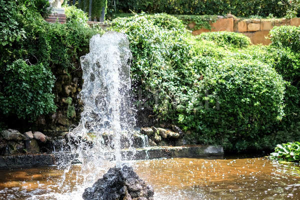 Fountain in Santa Clotilde Gardens, Catalonia Stock photo © Alex9500