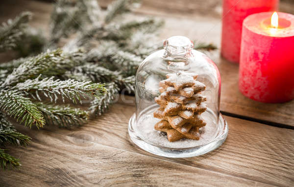 自家製 甘い クリスマスツリー ガラス ドーム 光 ストックフォト © Alex9500