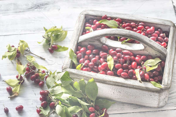 Dogwood berries in the basket Stock photo © Alex9500