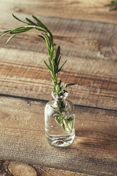 Taze biberiye küçük şişe su cam yeşil Stok fotoğraf © Alex9500
