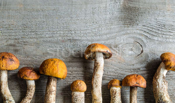 orange-cap boletus mushrooms Stock photo © Alex9500