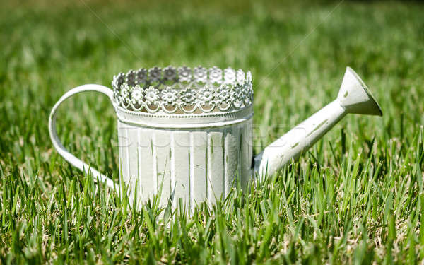 Old-fashioned watering can in the grass Stock photo © Alex9500