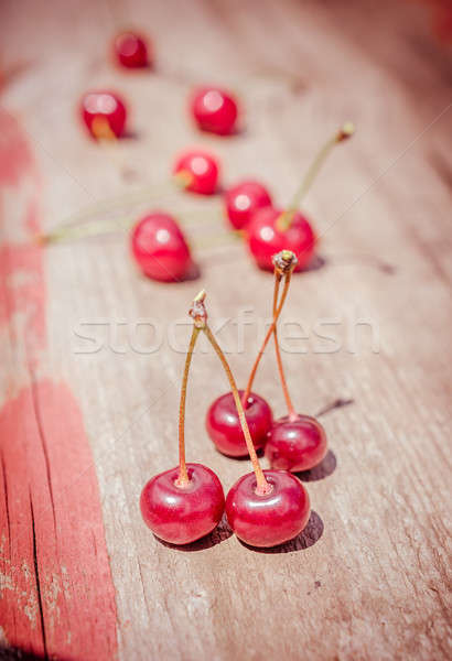 Maturo ciliegie giardino verde rosso Foto d'archivio © Alex9500