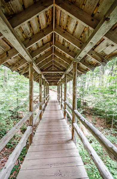 Covered bridge Stock photo © Alex9500