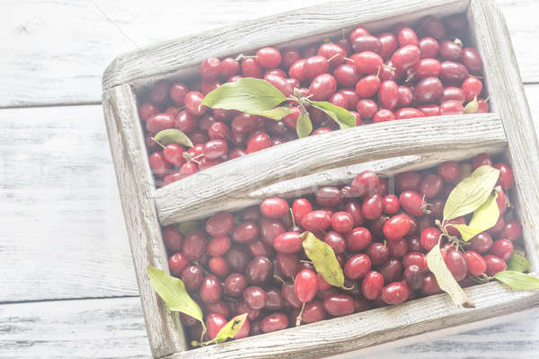 Dogwood berries in the basket Stock photo © Alex9500