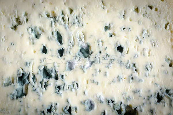 Texture formaggio tipo gorgonzola blu formaggio bianco studio Foto d'archivio © Alex9500